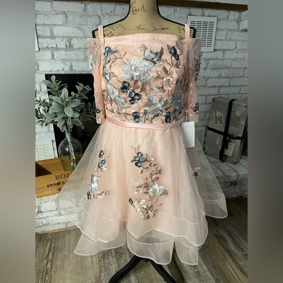 TS Couture Dresses & Skirts - TS Couture Pink Prom or Quinceañera Dress